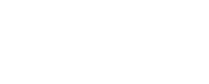 Logo Microsoft Partner Silver Windows and Devices